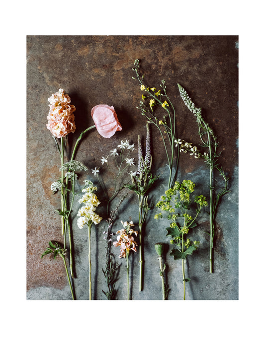 "Flatlay Frühsommer" Fine Art Print