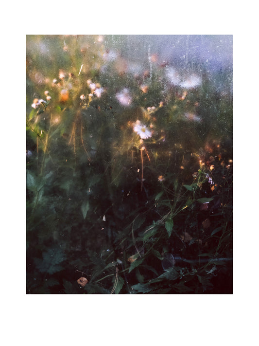 "Astern" Fine Art Print